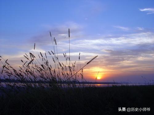 鲤鱼乡挺腰承受（鲤鱼打挺腰腹力量）