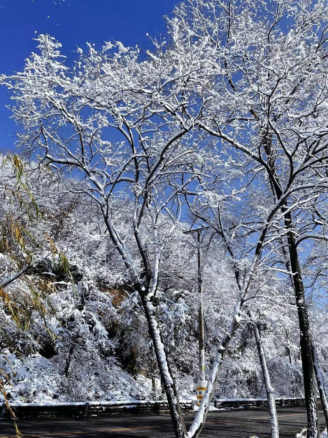 林心如老公是谁（林心如老公是谁的前男友）