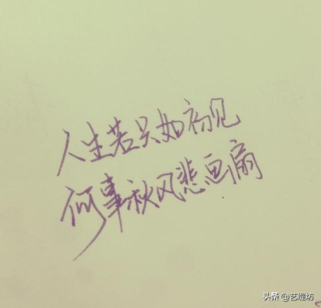 人生只若初见（成人有声小说人生若只如初见）